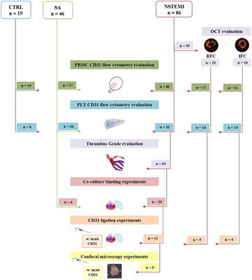 Monocyte-Platelet Aggregates Triggered by CD31 Molecule in Non-ST Elevation Myocardial Infarction: Clinical Implications in Plaque Rupture